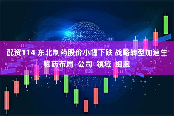 配资114 东北制药股价小幅下跌 战略转型加速生物药布局_公司_领域_细胞