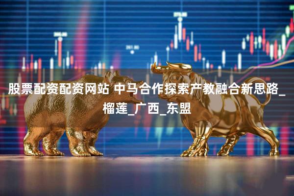 股票配资配资网站 中马合作探索产教融合新思路_榴莲_广西_东盟