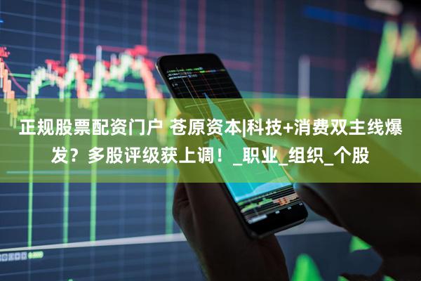 正规股票配资门户 苍原资本|科技+消费双主线爆发？多股评级获上调！_职业_组织_个股