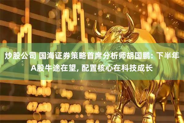 炒股公司 国海证券策略首席分析师胡国鹏: 下半年A股牛途在望, 配置核心在科技成长