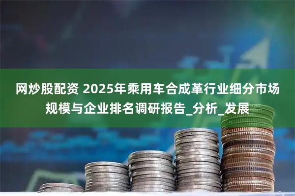 网炒股配资 2025年乘用车合成革行业细分市场规模与企业排名调研报告_分析_发展