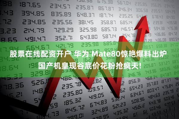 股票在线配资开户 华为 Mate80惊艳爆料出炉 国产机皇现谷底价花粉抢疯天!